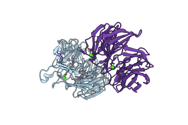 4IMM image