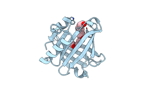 4IMN image