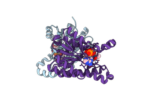 4IMR image