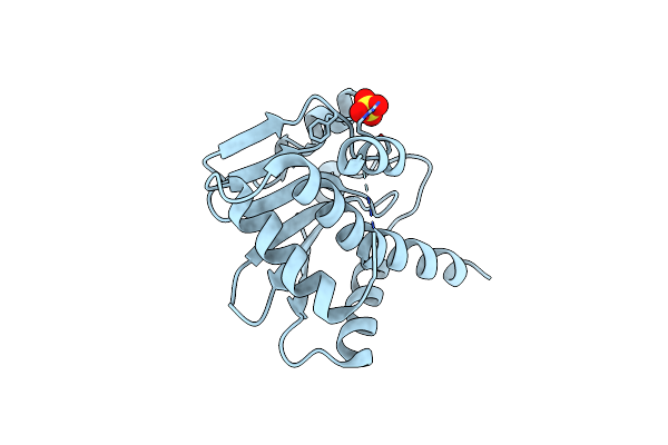 4IMV image