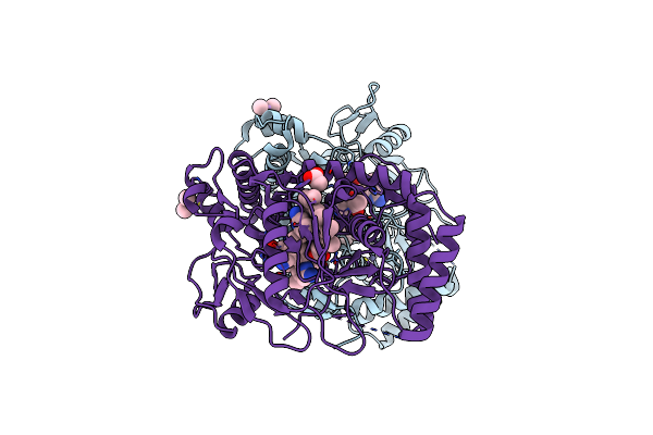 4IMX image