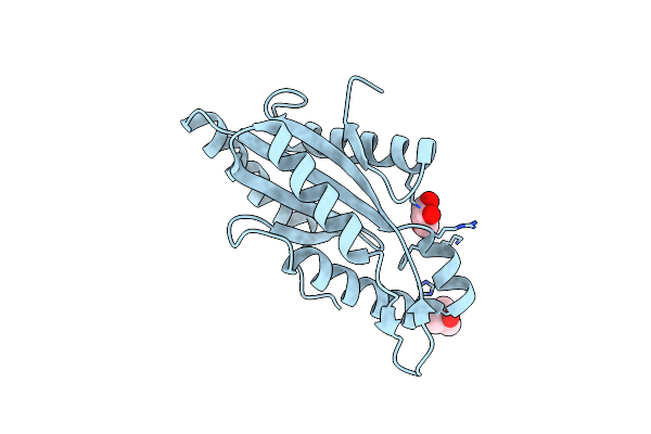 4IOB image