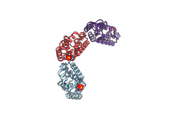 4IOD image