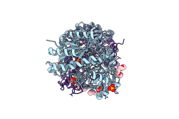 4IOJ image