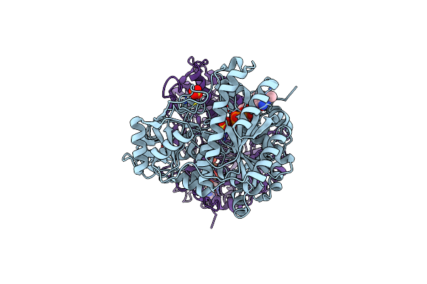 4IOL image
