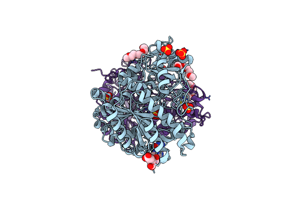 4IOM image