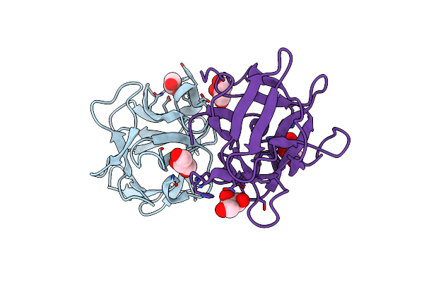 4ION image