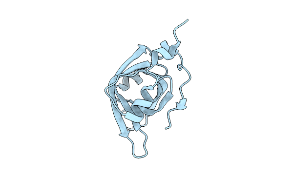 4IPD image