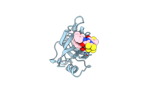 4IPH image