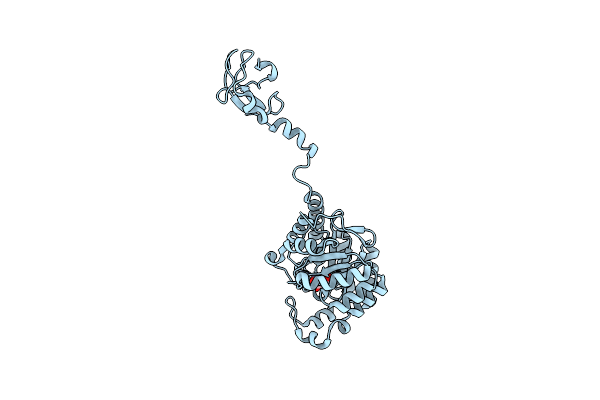 4IPJ image