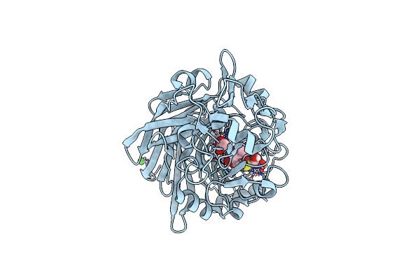 4IPM image