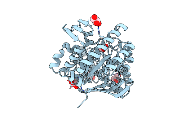 4IPP image