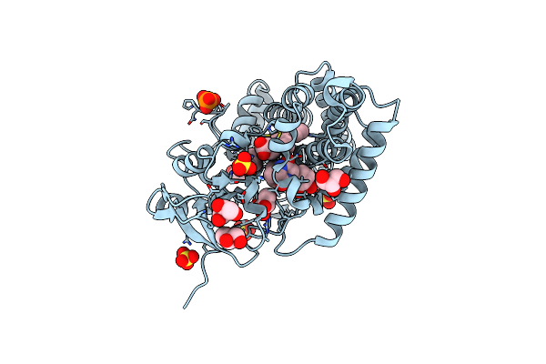 4IPW image