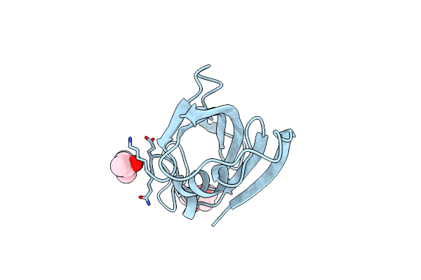 4IPX image