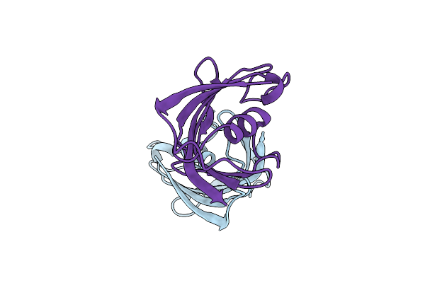 4IQC image