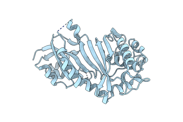 4IQM image