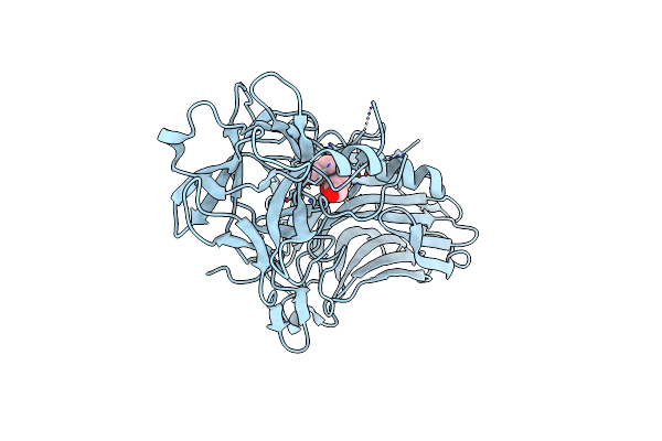 4IQP image