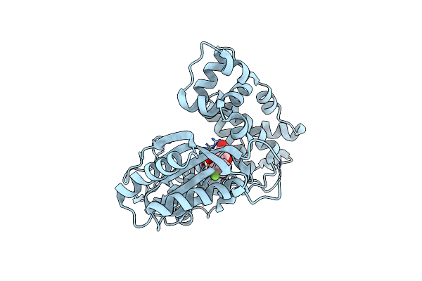 4IQT image