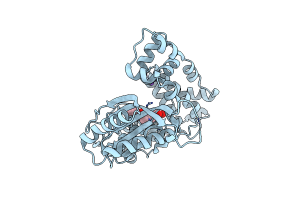 4IQU image