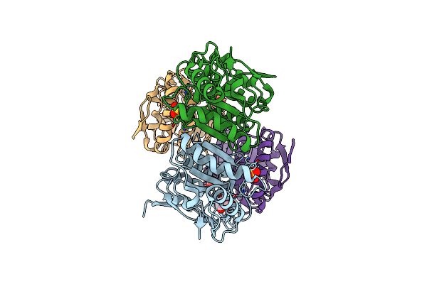 4IRB image
