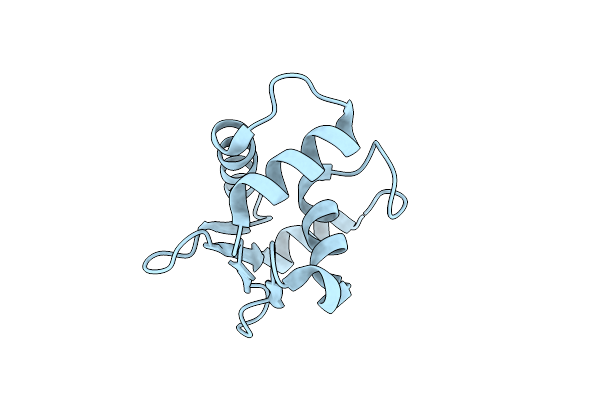 4IRG image