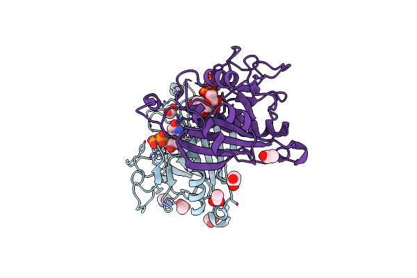 4IRP image
