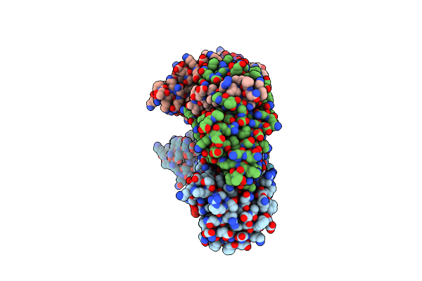 4IRV image