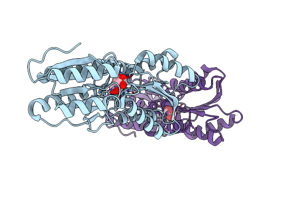4IRX image
