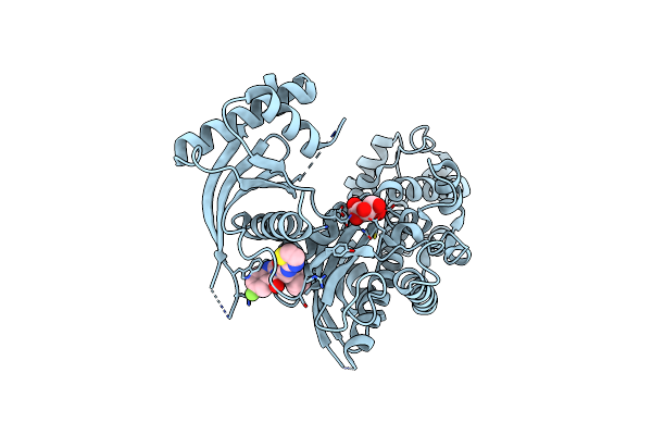 4ISE image