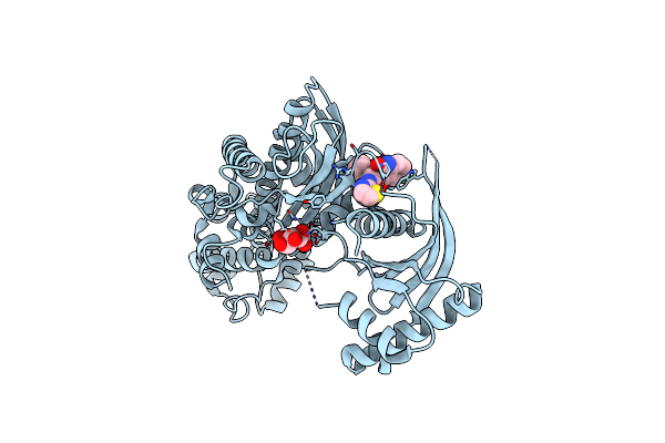 4ISF image