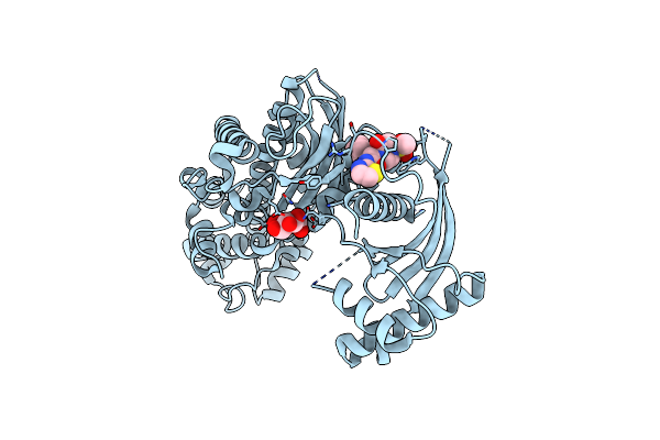 4ISG image