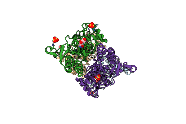 4ISU image