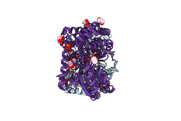 4IT9 image