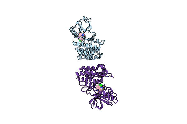 4ITH image