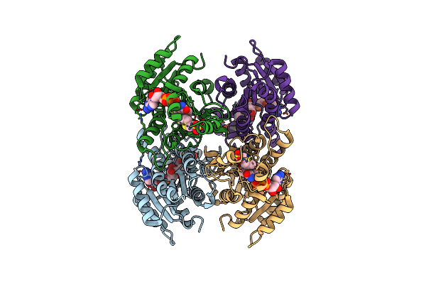 4ITU image