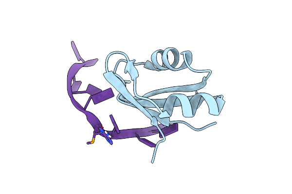 4IUF image