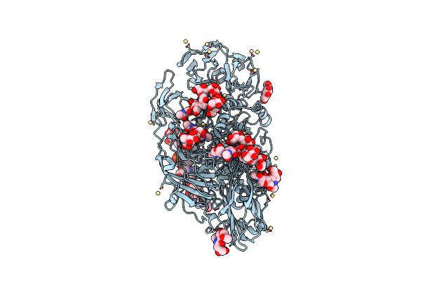 4IUG image