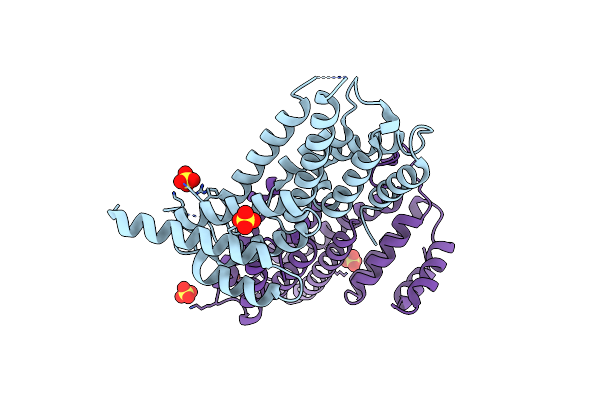 4IUL image