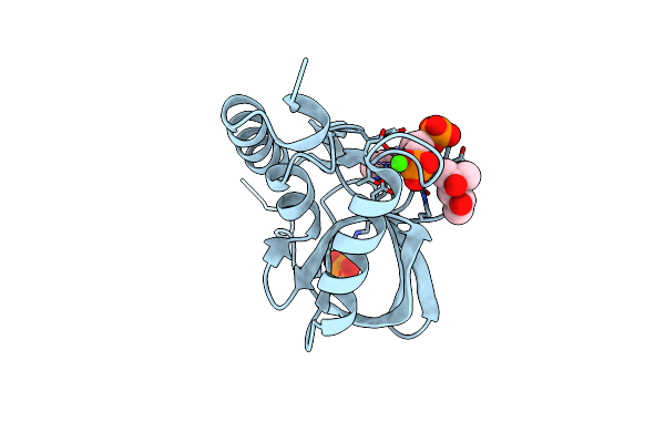 4IUN image