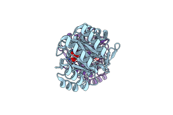 4IUO image