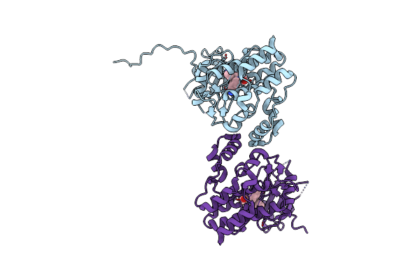 4IVB image