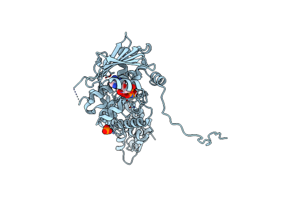 4IVG image