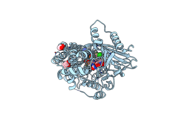 4IVM image