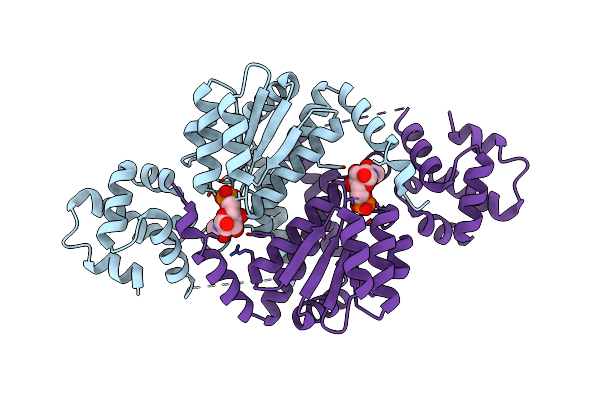 4IVN image