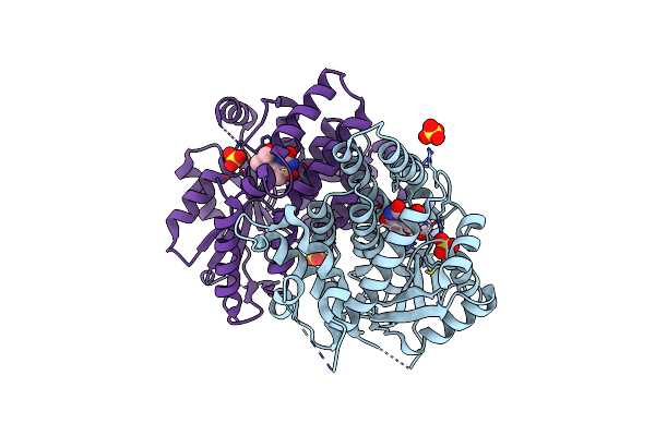 4IVP image