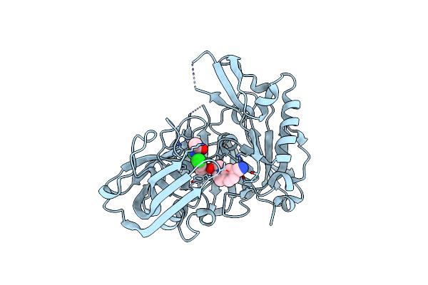 4IVS image