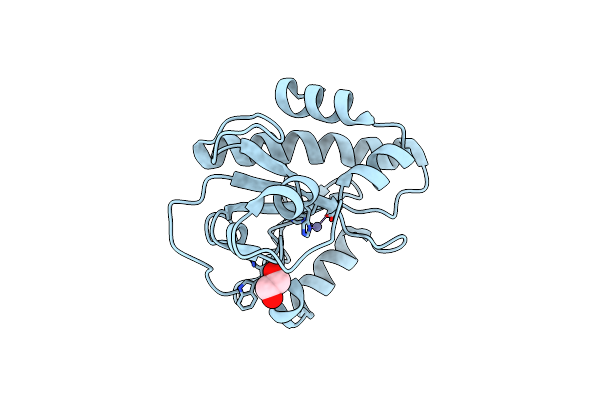 4IVV image