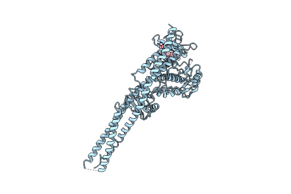 4IWQ image