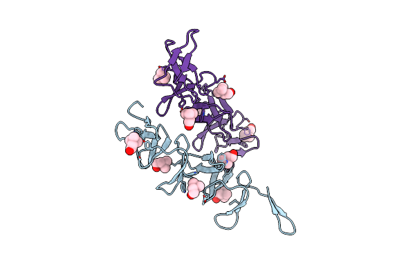 4IWT image