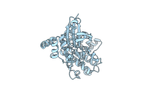 4IXP image